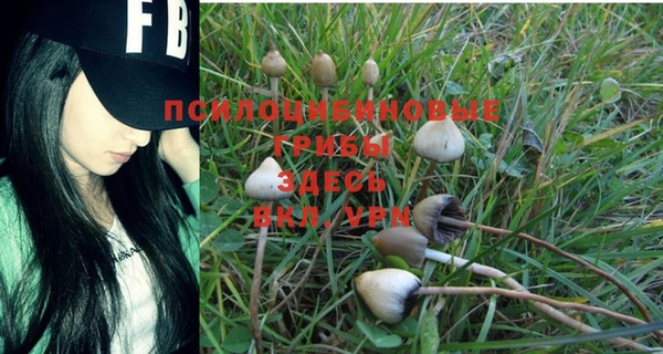 прущая мука Балабаново