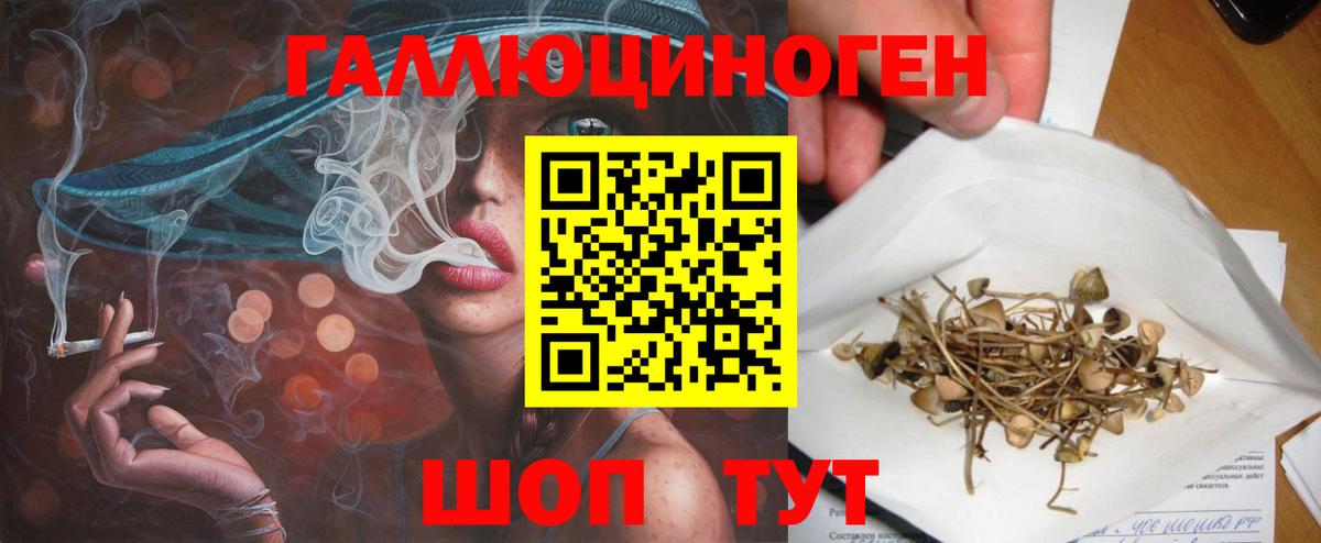 Нерюнгри  Псилоцибиновые грибы прущие грибы  Галлюциногенные грибы Cubensis  Вход с VPN 