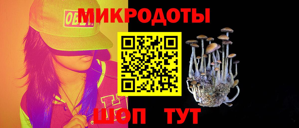 Псилоцибиновые грибы Psilocybine cubensis Нерюнгри